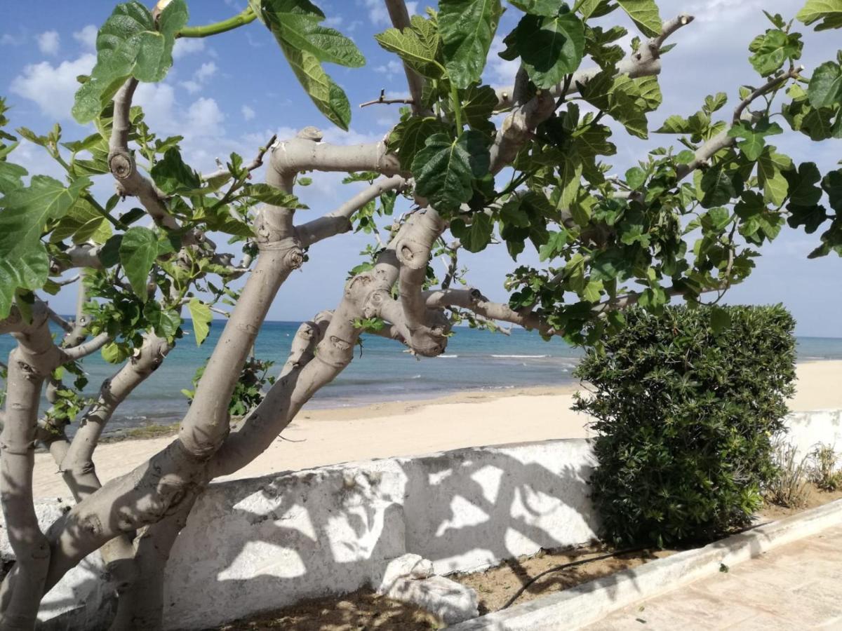 Dimora Grazia In Riva Al Mare Leilighet Monopoli Eksteriør bilde